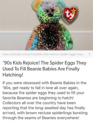 spider eggs in beanie bears