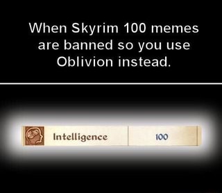 When Skyrim 100 Memes Are Banned So You Use Oblivion Instead Ifunny