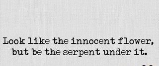 Look Like The Innocent Flower But Be The Serpent Under It