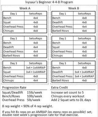 Ivysaurs Beginner 4 4 8 Program Day 1 Setsxreps Overhead
