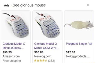Ads See Glorious Mouse Glorious Model O Glorious Model O Pregnant Single Rat Minus Glossy Minus Gom Whi 59 99 93 12 10 Biologyproducts Ifunny