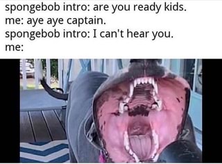 spongebob intro: are you ready kids.
me: aye aye captain.
spongebob intro: I can't hear you.
me: