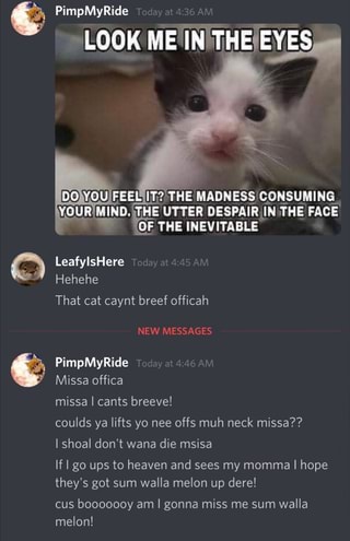 PimpMyRide
LOOK MEIN THE EYES
YOU FEEL IT THE MADNESS CONSUMING YOUR WING, THE UTTER DESPAIR IN THE FACE OF THE INEVITABLE
LeafylsHere
Hehehe
That cat caynt breef officah
NEW MESSAGE
PimpMyRide
Missa offica
missa I cants breeve!
coulds ya lifts yo nee offs muh neck missa??
I shoal don't wana die msisa
If I go ups to heaven and sees my momma I hope they's got sum walla melon up dere!
cus booooooy am I gonna miss me sum walla melon!