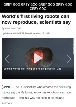 World's First Living Robots Can Now Reproduce, Scientists Say Cnn - IFunny