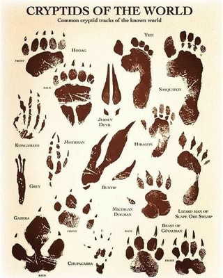 CRYPTIDS OF THE WORLD Common cryptid tracks of the known world - iFunny :)