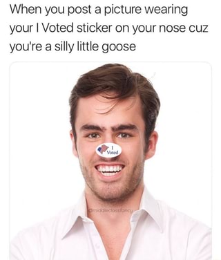 When you post picture wearing your I Voted sticker on your nose cuz you're silly little goose