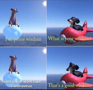 Q
Coro havirus That's a
good Wisdom