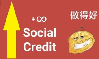 Social credit score: - )