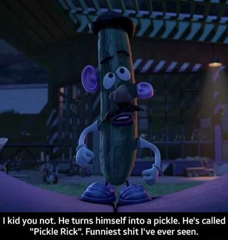 14+ Pickle Rick Meme Funniest Thing I&#039;ve Ever Seen PNG