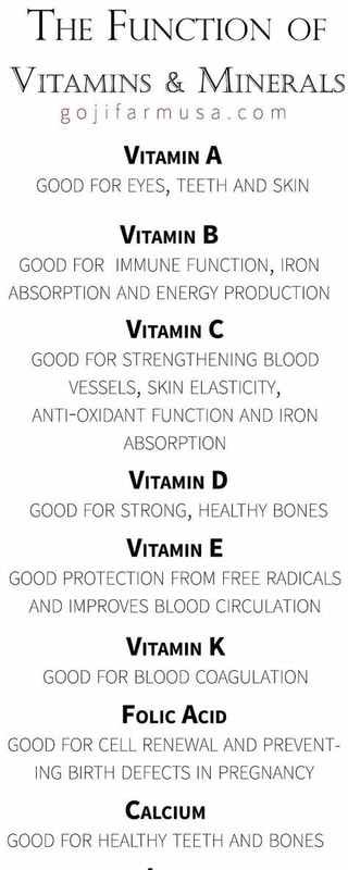 The Function Of Goﬂfarmpsaﬁom Vitamin A Good For Eyes