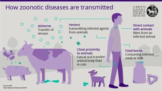 How zoonotic diseases are transmitted A o O Airborne Fo AA O MIN ...