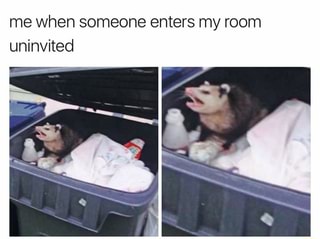 Me When Someone Enters My Room Uninvited Ifunny