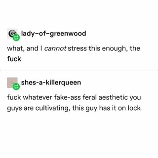 Lady Of Greenwood What And I Cannot Stress This Enough The Fuck Shes A Killerqueen Fuck Whatever Fake Ass Feral Aesthetic You Guys Are Cultivating This Guy Has It On Lock Ifunny