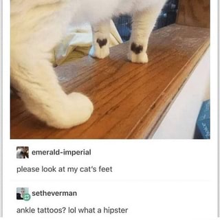 please look at my cat's feet
setheverman
ankle tattoos? lol what a hipster