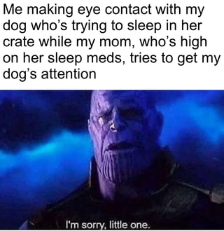 Me making eye contact with my dog who's trying to sleep in her crate while my mom, who's high on her sleep meds, tries to get my dog's attention
I'm sorry, little one.