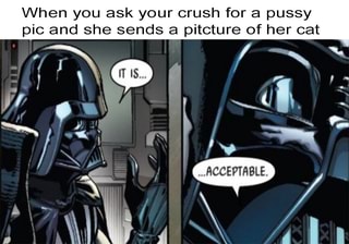 When you ask your crush for a pussy pic and she sends a pitcture of her cat
"er, > Oe
A\
ACCEPTABLE