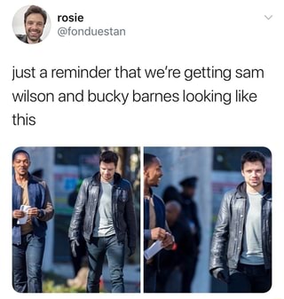 Just a reminder that we're getting sam wilson and bucky barnes looking ...