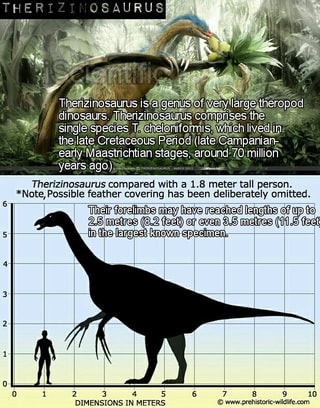 Therizinosaurus memes. Best Collection of funny therizinosaurus ...