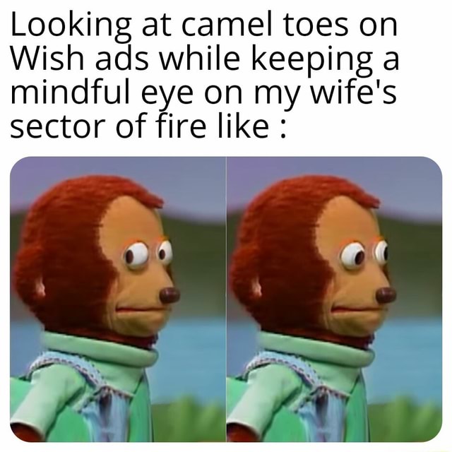 Looking at camel toes on Wish ads while keeping a mindful eye on my ...