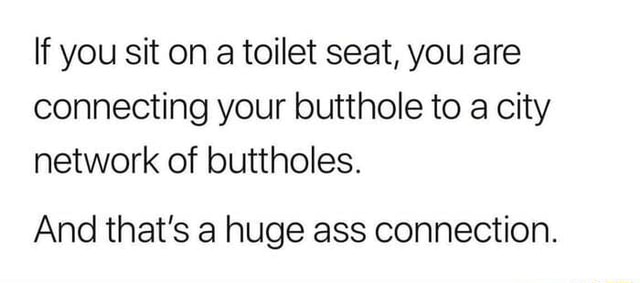 if-you-sit-on-a-toilet-seat-you-are-connecting-your-butthole-to-a-city