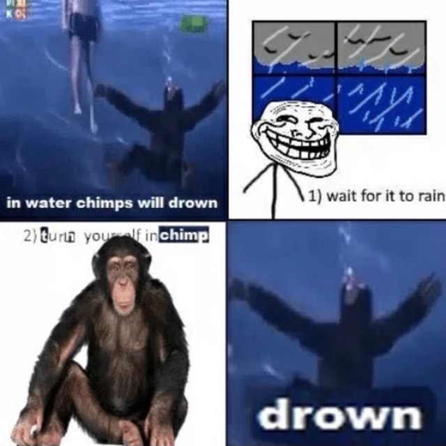 In Water Chimps Will Drewn Drown 2 Uaa Ifunny