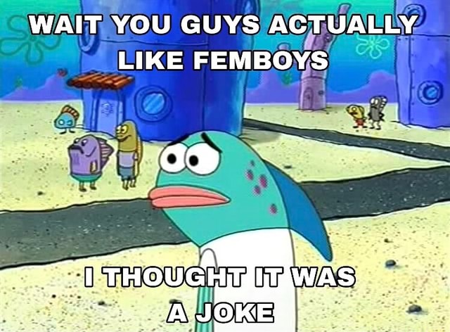 WAIT YOU GUYS ACTUALLY LIKE FEMBOYS - iFunny