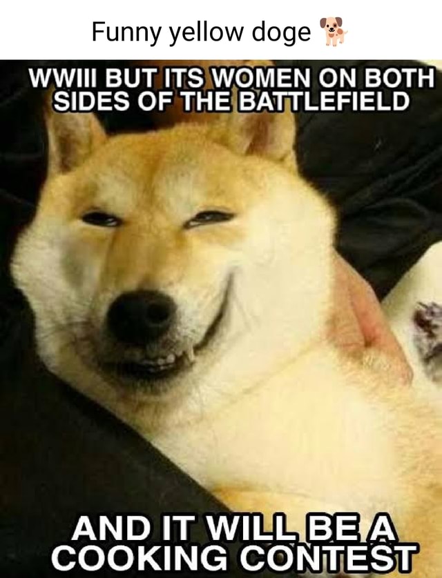Funny yellow doge WWII BUT ITS WOMEN ON BOTH SIDES OF THE BATTLEFIELD AND IT WILL BE A COOKING