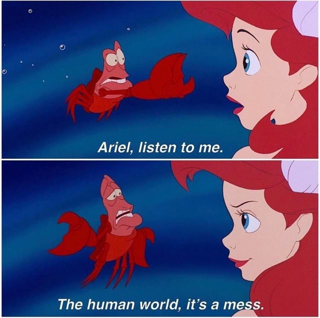 Ariel, listen to me. The human world, it's a mess. - iFunny