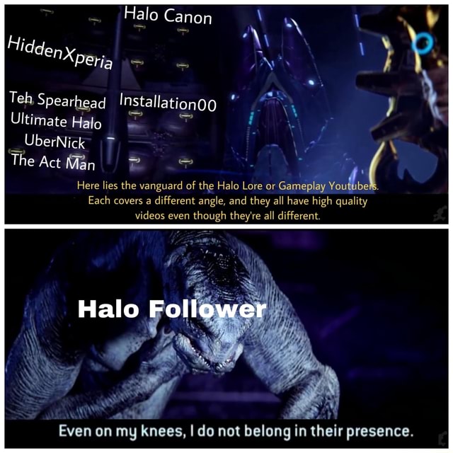 Halo Follower