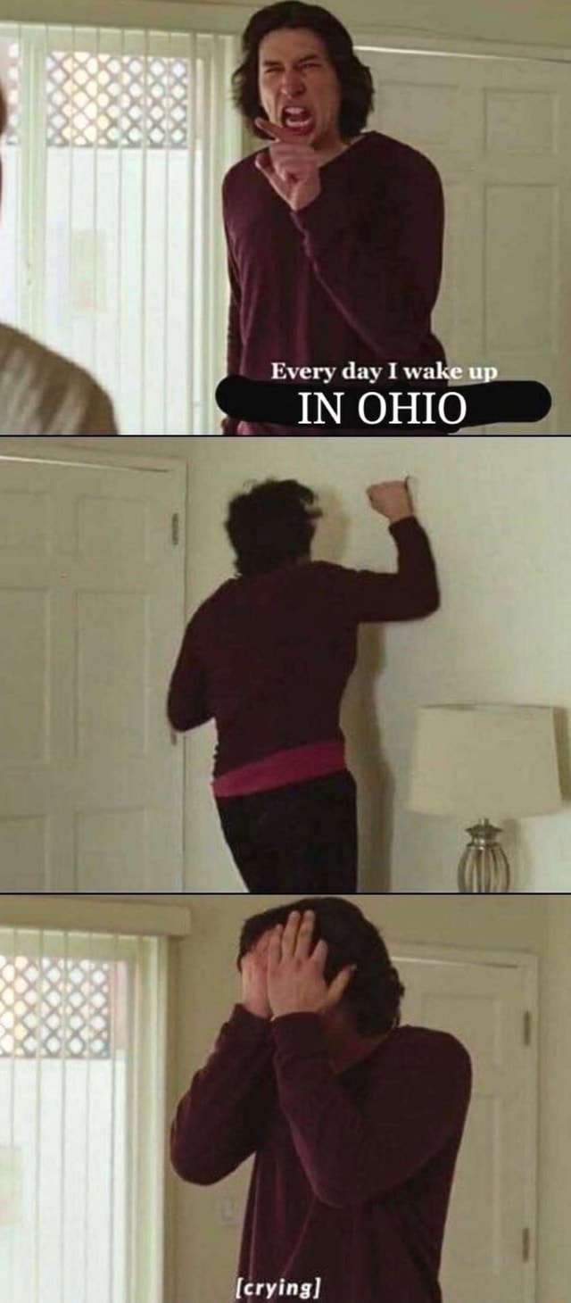 Every day I wake up IN OHIO [crying] - iFunny