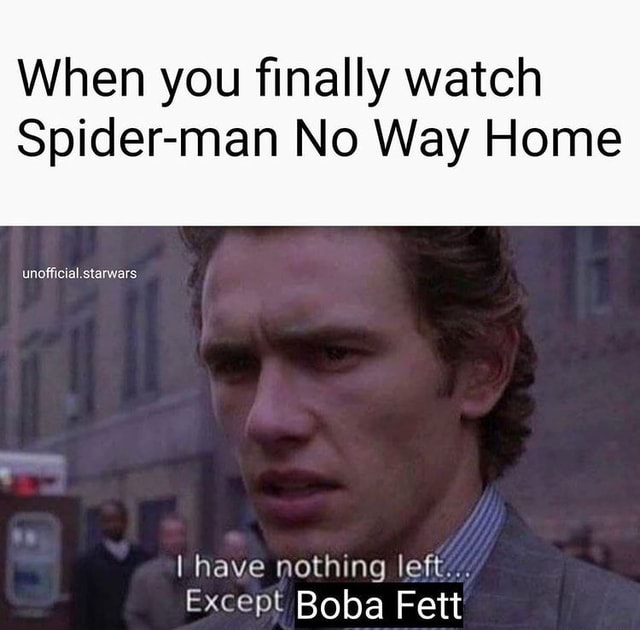 When you finally watch Spider-man No Way Home I have nothing left ...