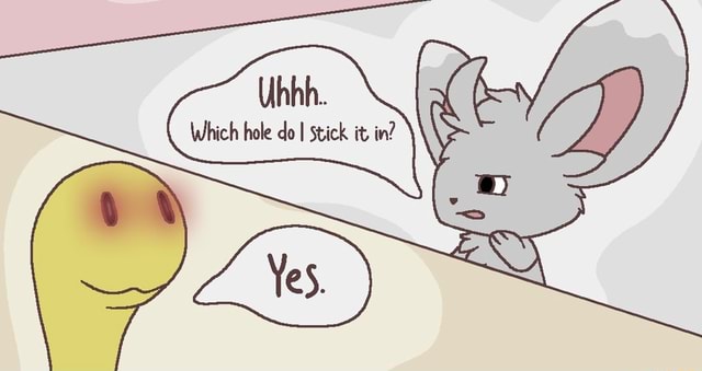 Which hole do I stick it in? - iFunny