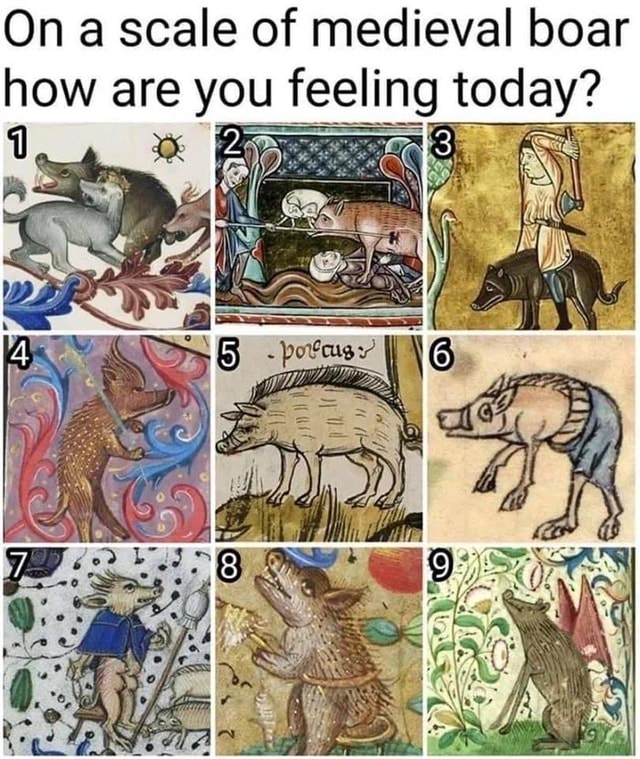 Ns On A Scale Of Medieval Boar How Are You Feeling Today