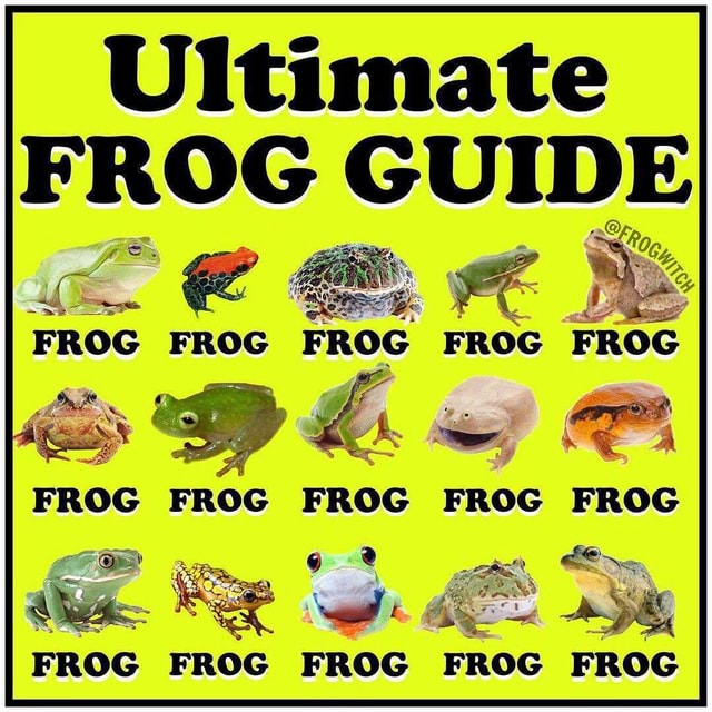 Frog Guide N/A - Ultimate FROG GUIDE FROG FROG FROG FROG FROG FROG FROG FROG FROG ...