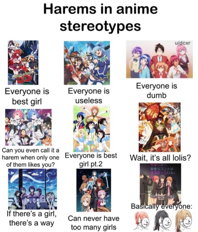 Harems in anime stereotypes A Everyone is Everyone is dumb ii al ...