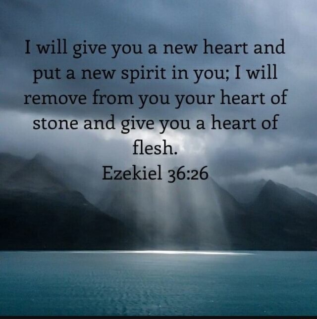 Will give you a new heart and put a new spirit in you; I will remove