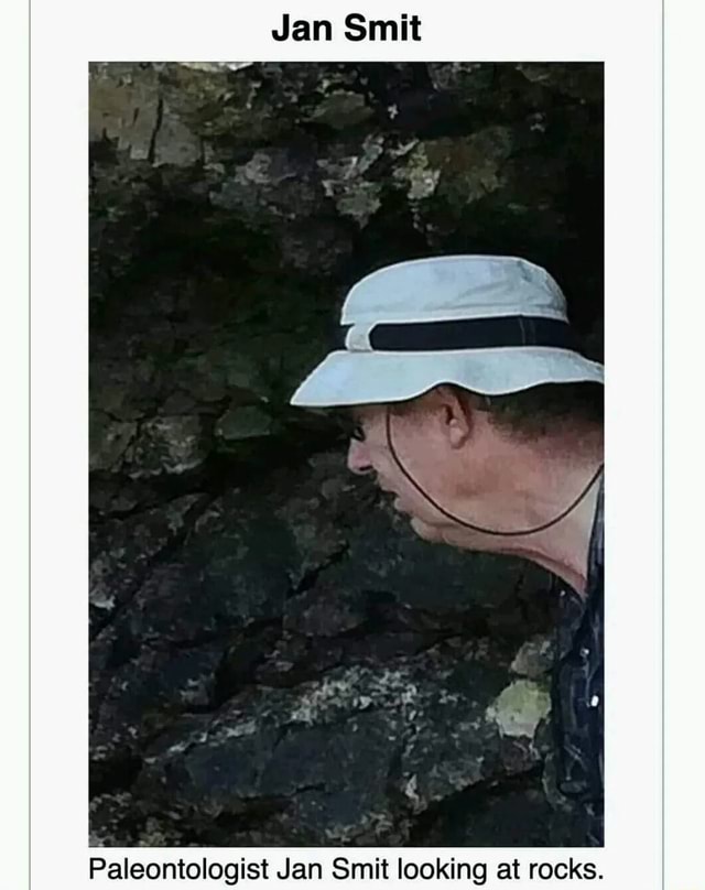 Jan Smit Paleontologist Jan Smit looking at rocks. seo.title