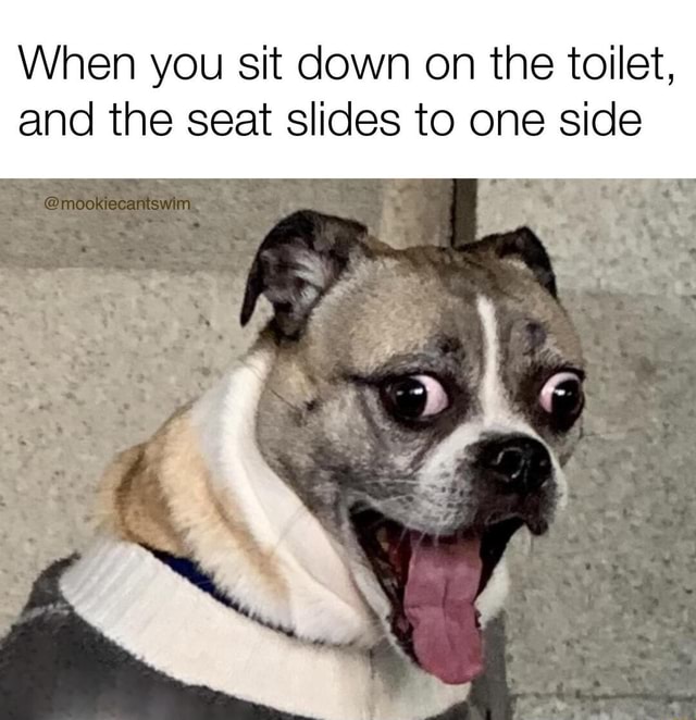 oh-snap-when-you-sit-down-on-the-toilet-and-the-seat-slides-to-one