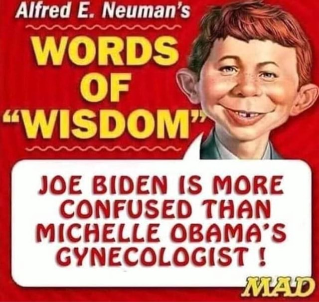 JOE BIDEN IS MORE CONFUSED THAN MICHELLE OBAMA'S GYNECOLOGIST - )