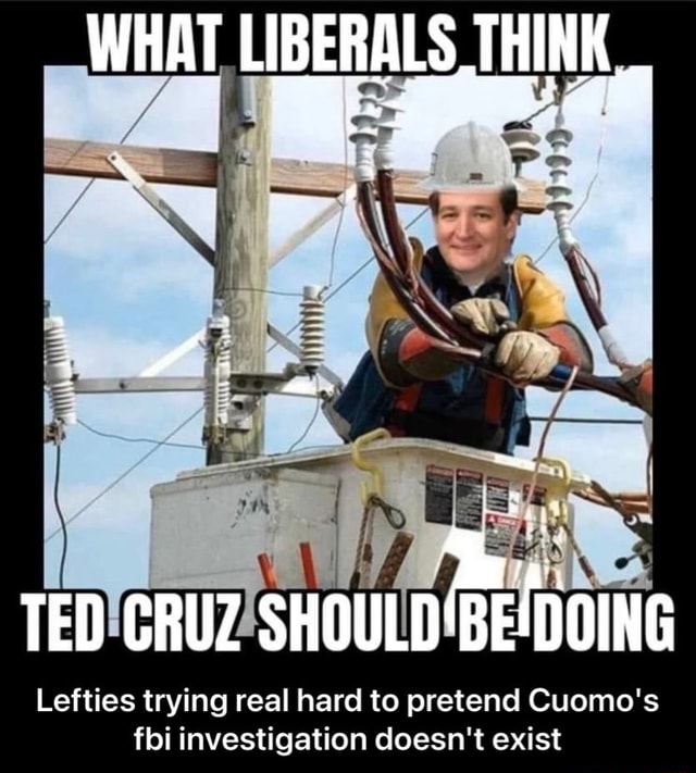 WHAT LIBERALS THINK TED GRUZ SHOULD BEDOING Lefties trying real hard