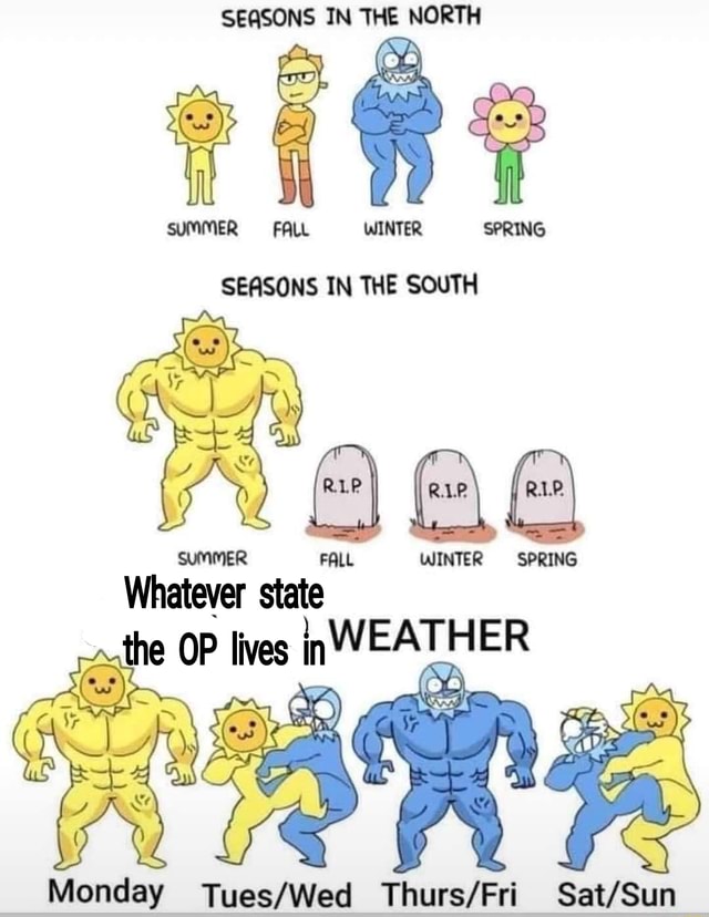 SEASONS IN THE NORTH SUMMER FALL WINTER SPRING SEASONS IN THE SOUTH ...