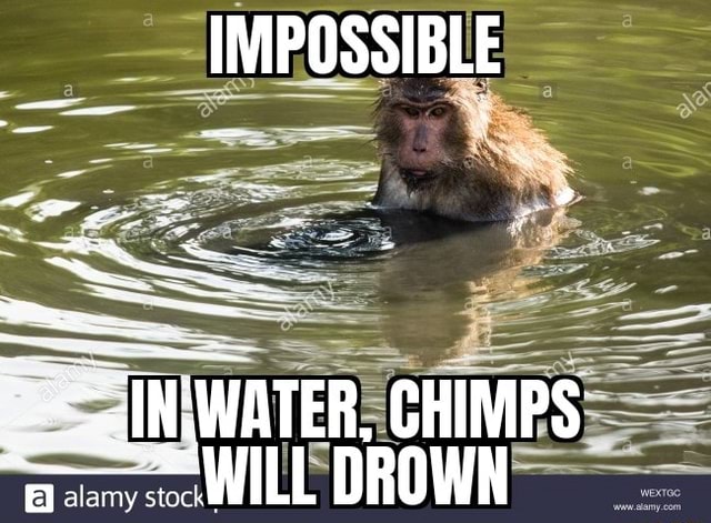 Impossible Water Chimps Will Drown Ifunny