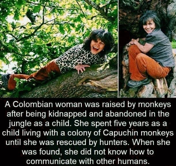 A Colombian woman was raised by monkeys after being kidnapped and