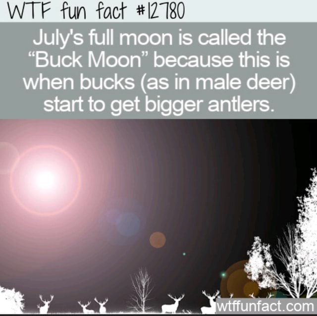 WT fun fact July's full moon called the "Buck Moon because this is when ...