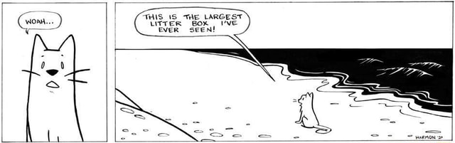 this-the-largest-litter-box-ever-seen-ifunny