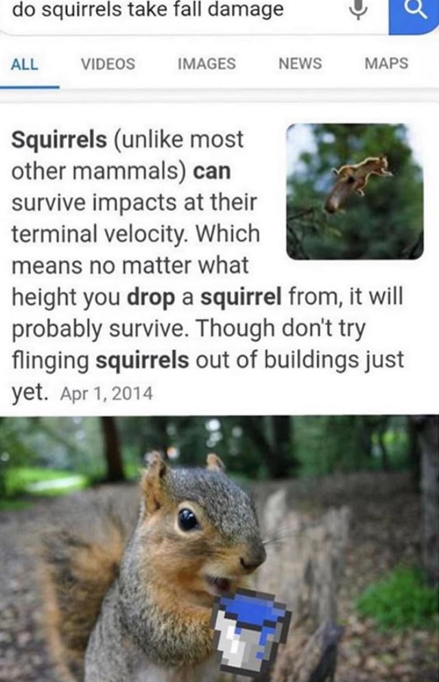Do squirrels take fall damage NY Ea Squirrels (unlike most other