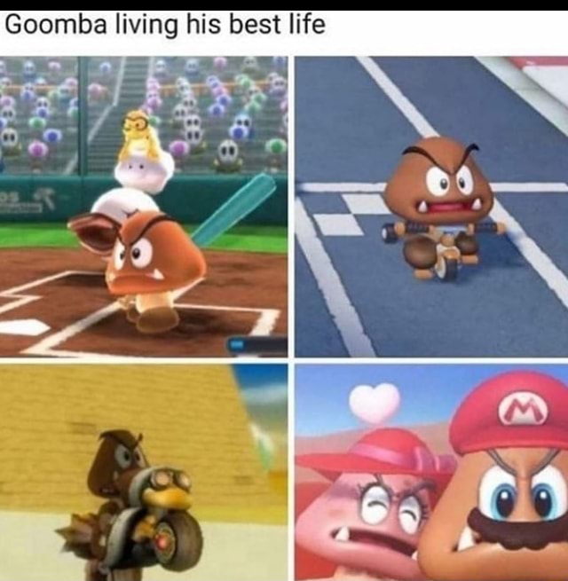 Goomba living his best life Var. es A - iFunny