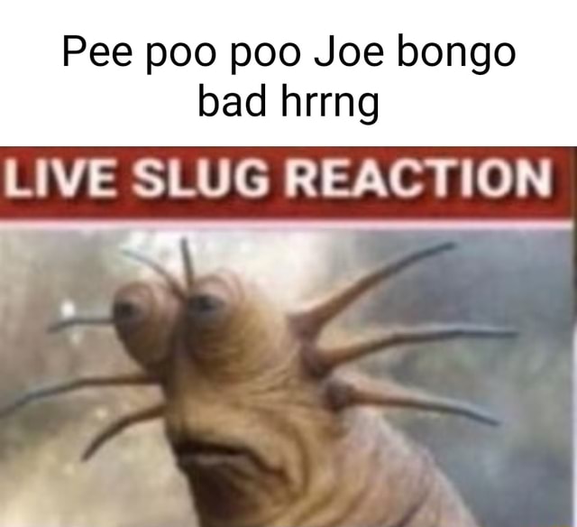 Pee poo poo Joe bongo bad hrrng LIVE SLUG REACTION iFunny Brazil