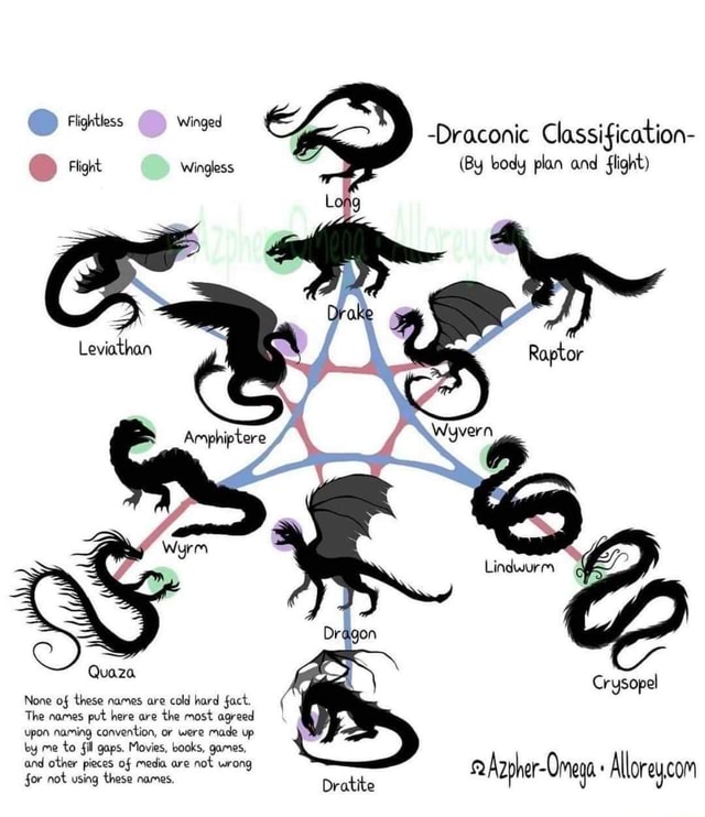 Draconic Classification- Flight Wingless (By body plan and flight ...