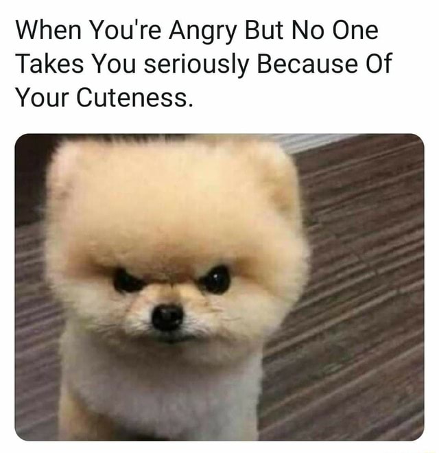 When You're Angry But No One Takes You seriously Because Of Your ...